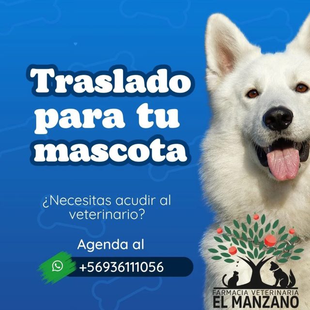 Pieza: Traslado para tu mascota
