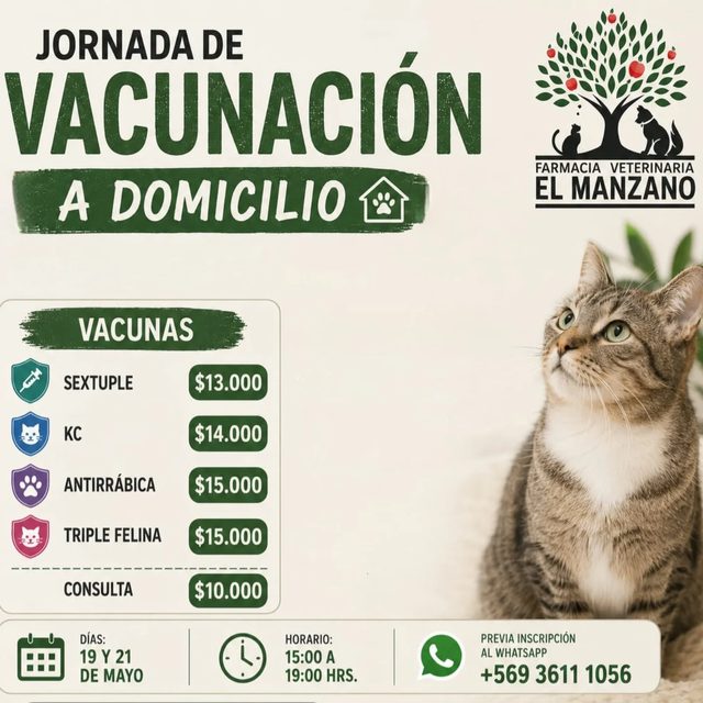 Pieza: Jornada de vacunación a domicilio