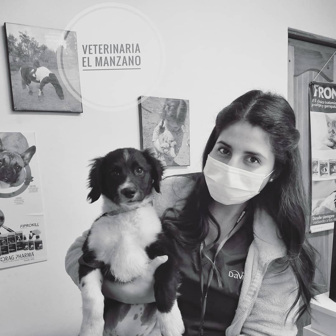 Valeska Soto con un cachorro dentro de la consulta veterinaria El Manzano